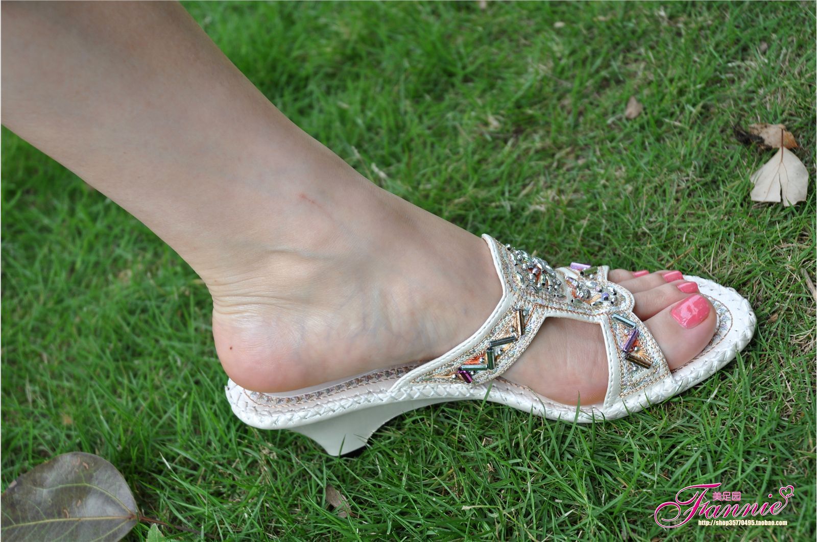 夏日阳光、细雨和微风（1） 芬妮高清丝足